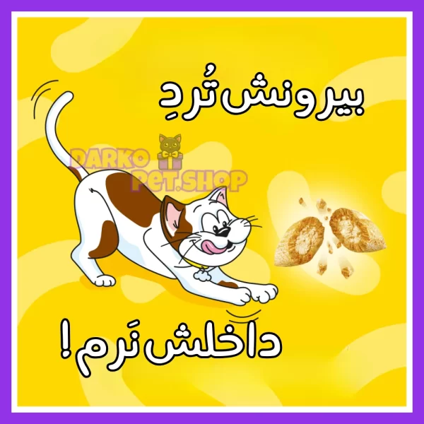 خرید تشویقی گربه